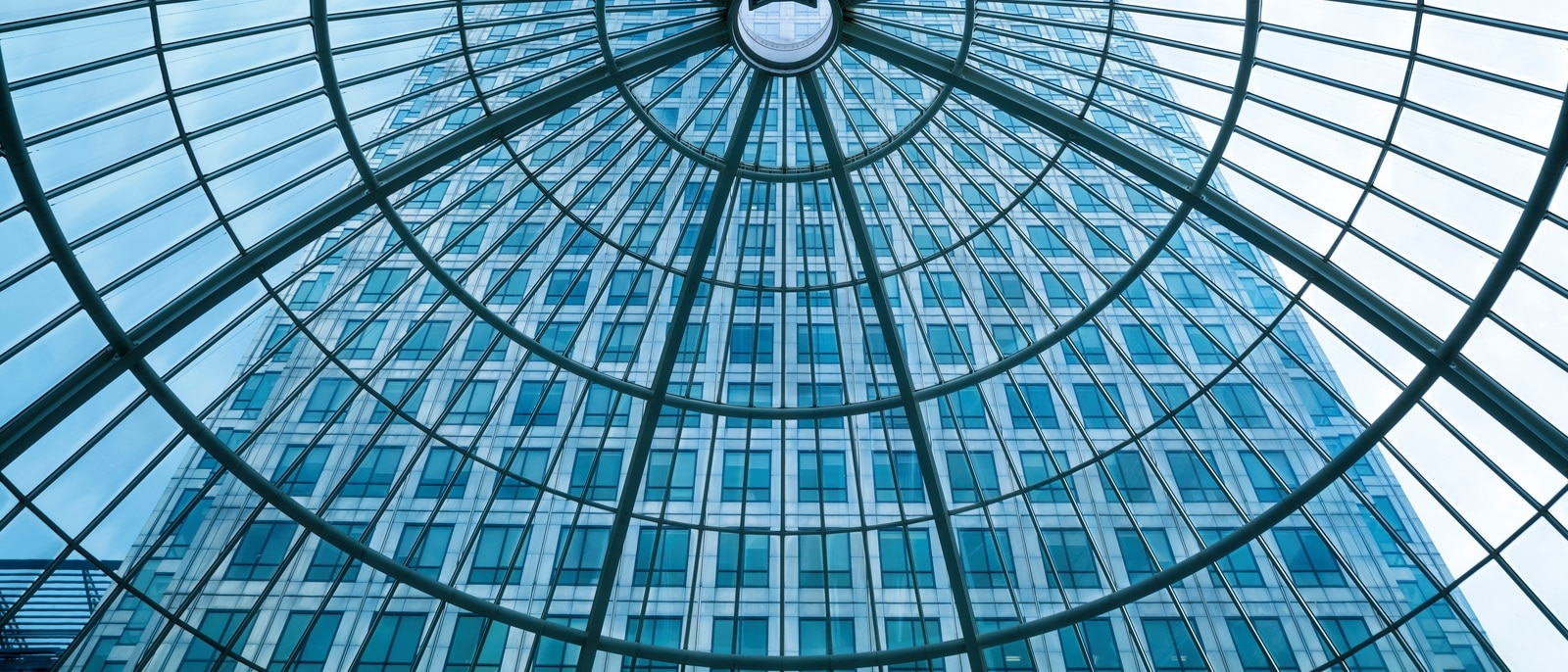 Курси для керівників 