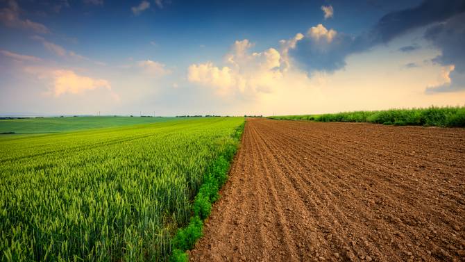 Farm lands.