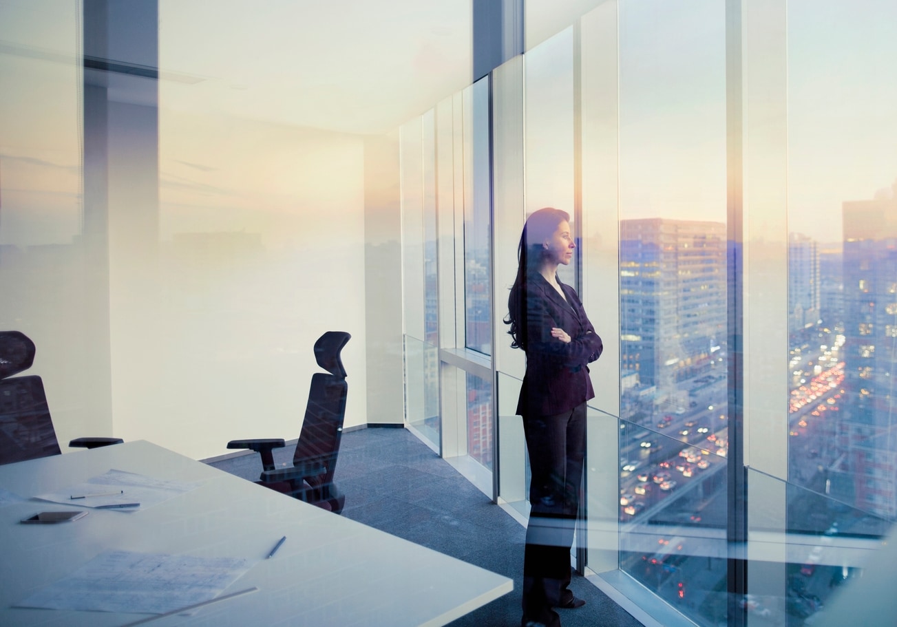 Image of a woman standing at a window.