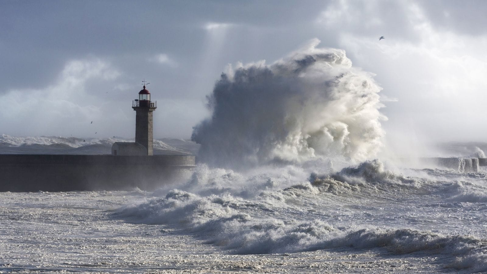 How To Access Natural Disasters How To Access Natural Disasters