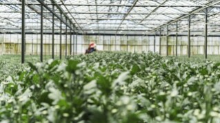 Exploring Agriculture