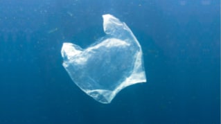 Europa wprowadza zakaz plastiku. Co kryje się w zapisach Dyrektywy plastikowej?