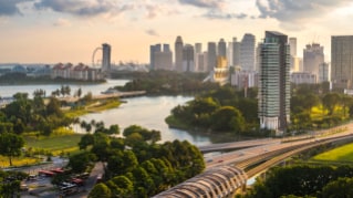 Sustainability - Green (R)evolution for business