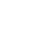 Konfederacja Lewiatan logo