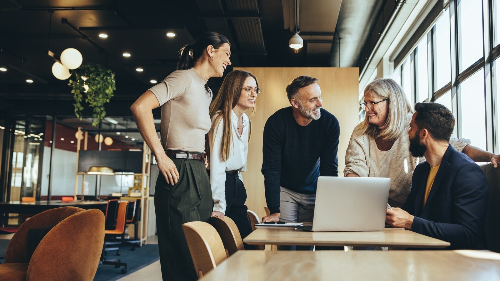 zdjęcie dekoracyjne