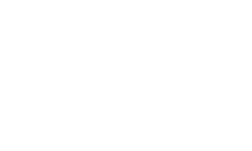 Cionet logo
