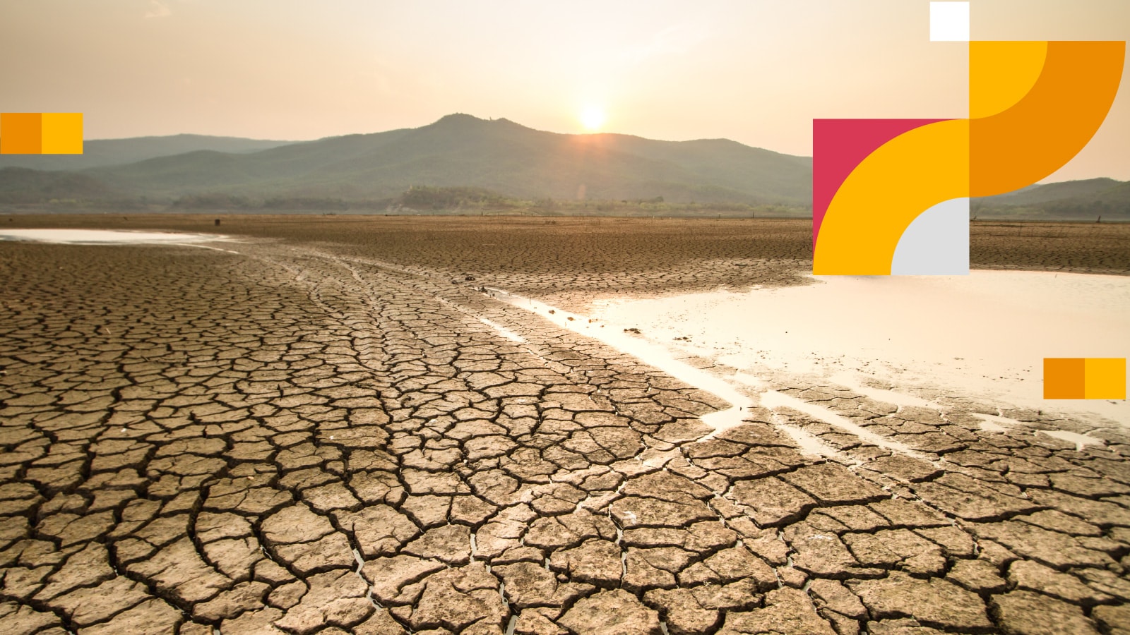 Zmiana klimatu kosztuje